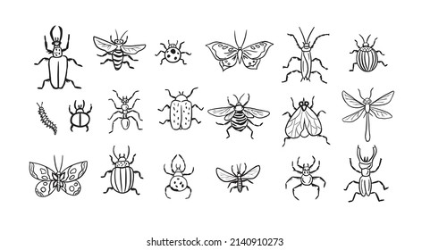 Gran conjunto de diferentes insectos en vectores .cons para petshops, carteles, anuncios. Estilo de doodle, ilustración vectorial