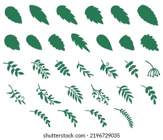 Big set of different leaves. Collection of flora. Botanical set. Vector illustration.