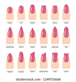 Gran conjunto de diferentes formas de uñas. Guía de Manicura. Ilustración del vector