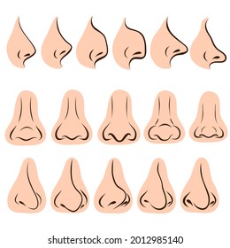 Big set of different noses for face design on white