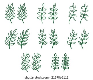 Big set of different outline leaves. Collection of flora. Botanical bundle. Isolated elements on white background