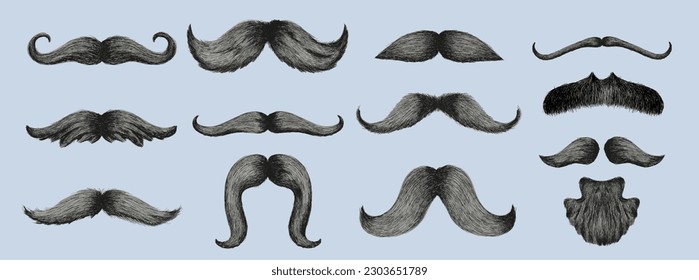 Big Set of Different styles of male realistic mustaches. Hand drawn Chevron, imperial, lampshade, painter brush, handlebar, classic relaxed, english, thick thin man mustaches. Vector illustration.