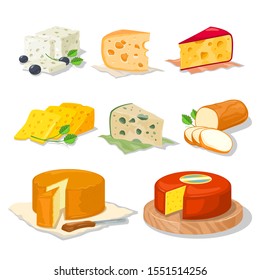 Big set with different types, assortment of cheeses hard, soft, with mold, spices, from milk of cow, sheep or goat, holed, smoked, brined, pickled. Vector cartoon realistic collection on white.