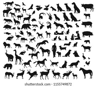 Big set of different wild and domesticated animals on white background