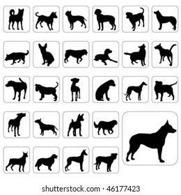 big set of dogs vector