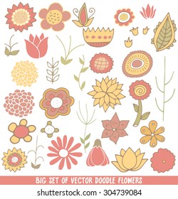 Big set of doodle colorfully flowers
