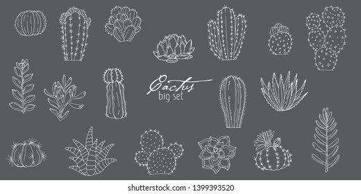 Big set of elements with hand drawn cacti and succulents on a chalkboard background. Vector icons in black and white sketch style. Hand drawn isolated objects