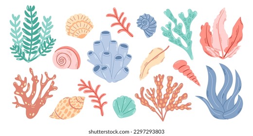 Big set elements of underwater plants and mollusks. Simple bright illustrations of seashells, algae and corals.