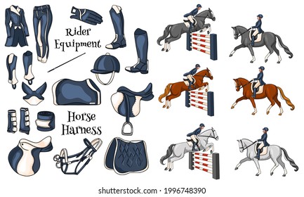 Big set of equipment for the rider and ammunition for the horse rider on horse illustration in cartoon style. Saddle, blanket, whip, clothing, saddle cloth, protection.