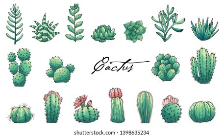 Big set et of elements with hand drawn colored cacti and succulents. Vector icons in colorful sketch style. Sketch style isolated objects