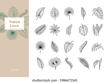 Big Set exotic tropical leaves  Line icons  Vector botanical illustration  Great design elements for congratulation cards  banners