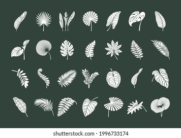 Big Set of exotic tropical leaves. White elements on a dark background. Vector botanical illustration. Great design elements for congratulation cards, banners