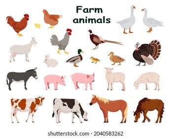 Big set of farm animals and domestic birds. Country pet. Isolated character on a white background. Vector illustration in a flat style.