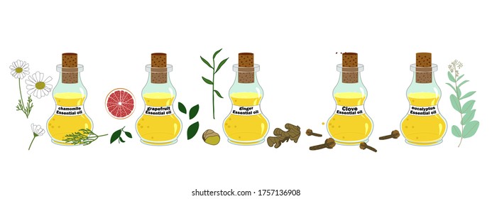 Big set of five essential oil bottles with herbal elements, fruits and leaves. Vector stock illustration in cartoon style.