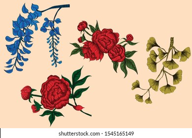 Big set flat vector element.Rose, wildflowers, foliage, herbs, leaf. Collection garden and wild, flowers, branches. Illustration isolated on white and red background, beautiful tree