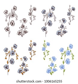 Big set of flax (Linum) plants: black contour of flowers (white, blue), bud, stems, leaves on white background. Botanical illustration for design, hand draw in engraving vintage style, etching, vector