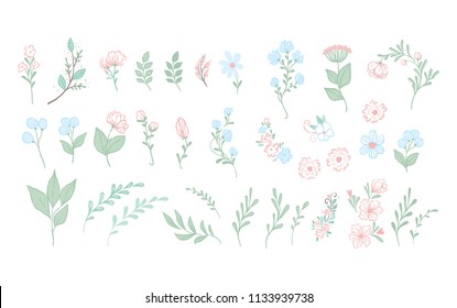 Big set of floral design elements 