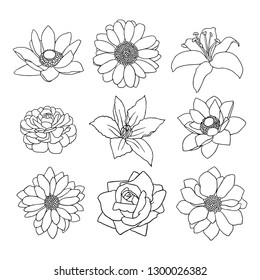 Big set of the floral outlines. Perfect for coloring book or page about flowers. 