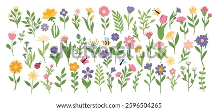 Big set with flowers and butterflies. Spring flowers, branches with leaves, ladybug, dragonfly. Botanical elements for designs.