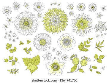 Grandes flores, hojas y ramas. Colección de diseño floral para sus tarjetas de felicitación, invitación, vacaciones, boda. Ilustración dibujada a mano vectorial en estilo vintage.