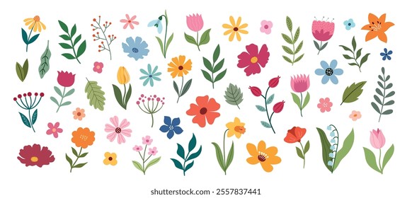 Big set of flowers and leaves on a white background