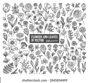 BIG SET OF FLOWERS AND LEAVES IN VECTOR