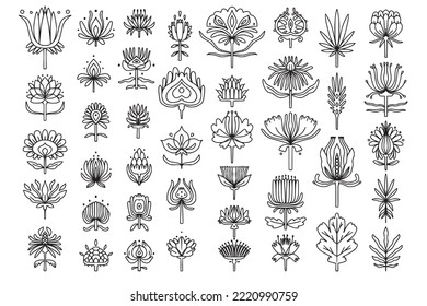 Big set of folk style linear exotic flowers. Simple hand drawn outline doodle illustration. Stylized decorative floral elements for tatoo, stationery, cards. Traditional decor. Vector botany set