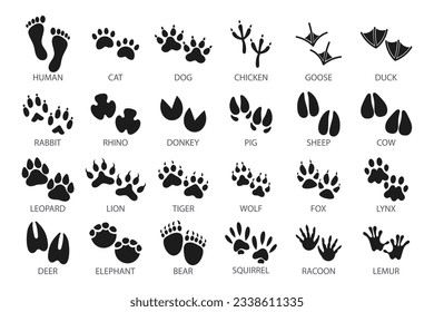 Big set of footprints of domestic and wild animals. Icons, sketch, vector