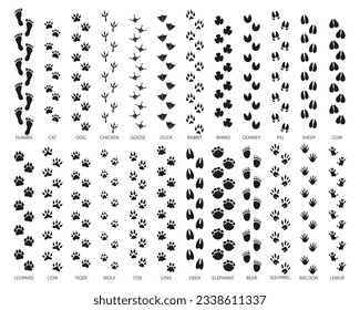 Big set of footprints of domestic and wild animals. Icons, sketch, vector