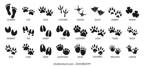 Gran conjunto de huellas de animales domésticos y salvajes. Iconos, boceto, vector