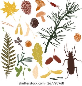 big set of  forest objects silhouettes, seeds, leaves, twigs, pine cones, hand drawn vector illustration