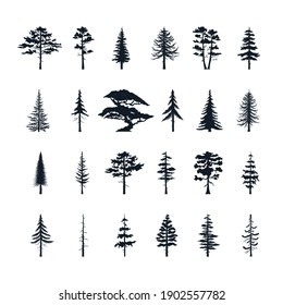 Big Set Of Forest Trees Silhouettes. Vector Isoleted Icons Of Pine, Fir, Cedsar, Oak. 