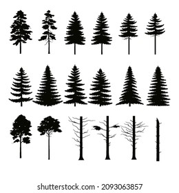 Gran conjunto de siluetas de árboles forestales para diseño con fondo blanco