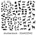 The big set of forest vector animals silhouettes. The big collection of wild animals.