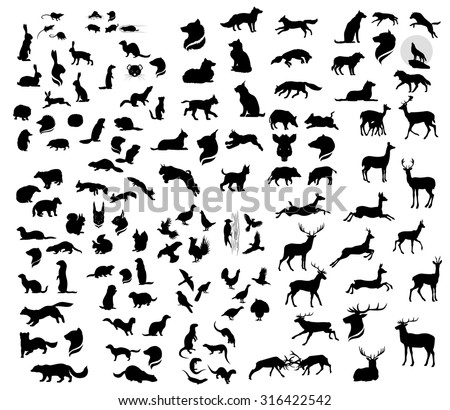 The big set of forest vector animals silhouettes. The big collection of wild animals.