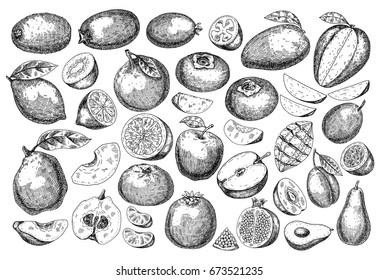 Big set fresh fruit . Hand drawn sketch style tropical summer fruit vector illustration. Isolated drawing on white background. Vitamin and healthy fruit eco food. Farm market produce.