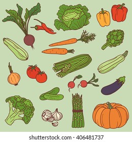Big set of fresh vegetables. Hand drawn icons set vector. Colorful collection of food objects
