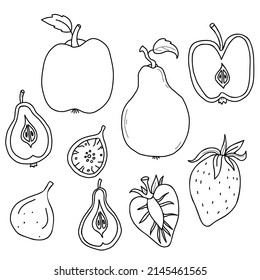 Big set of fruits and berries. Whole fruits and cut in half. Strawberry and fig, apple and pear with root and leaf. Vector illustration in linear hand drawn style for design, decor and decoration