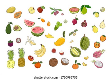 Big set fruits. Bright and colorful pear, apple, lemon, lime, watermelon, orange, durian, pithaya, pineapple, mango, mangosteen, rambutan, bananas, pomegranate, persimmon, avocado, papaya, guava.