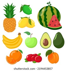 Big set of fruits isolated on white background. flat style