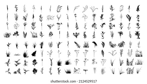 Big set of grass and flowers tracing. Wild herbs vector illustration. Floral design element for greeting card, poster, cover, invitation. Botanical retro image for a garden background.