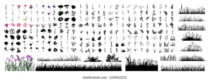 Big set of grass and flowers tracing. Wild herbs vector illustration. Floral design element for greeting card, poster, cover, invitation. Botanical retro image for a garden background.