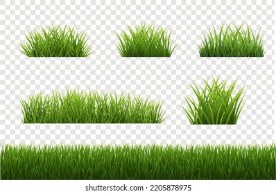 Big Set Grass Panorama And Transparent Background With Gradient Mesh, Vector Illustration