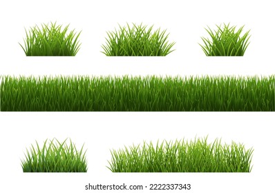 Großes Graspanorama weißer Hintergrund mit Farbverlauf-Mesh, Vektorgrafik