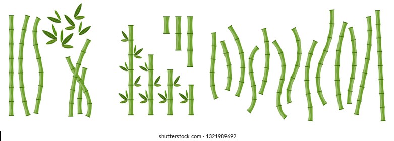 Big set of green bamboo branches and leaves. Vector illustration. Bamboo stems. Bamboo icon.