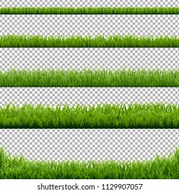 Big Set Green Grass Borders Transparent Background With Gradient Mesh, Vector Illustration
