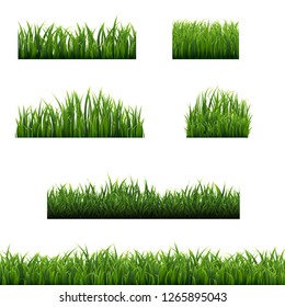 Big Set Green Grass Borders Background With Gradient Mesh, Vector Illustration