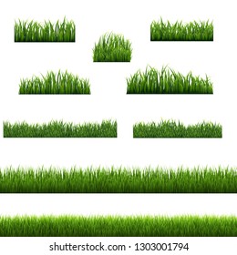 Big Set Green Grass Borders Background White Background, Vector Illustration