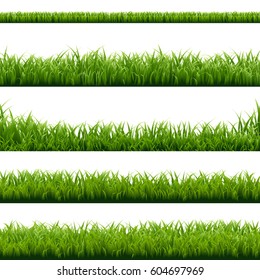 Big Set Green Grass Borders With Gradient Mesh, Vector Illustration