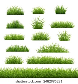 Big Set Green Grass Isolated White Background, Vector Illustration